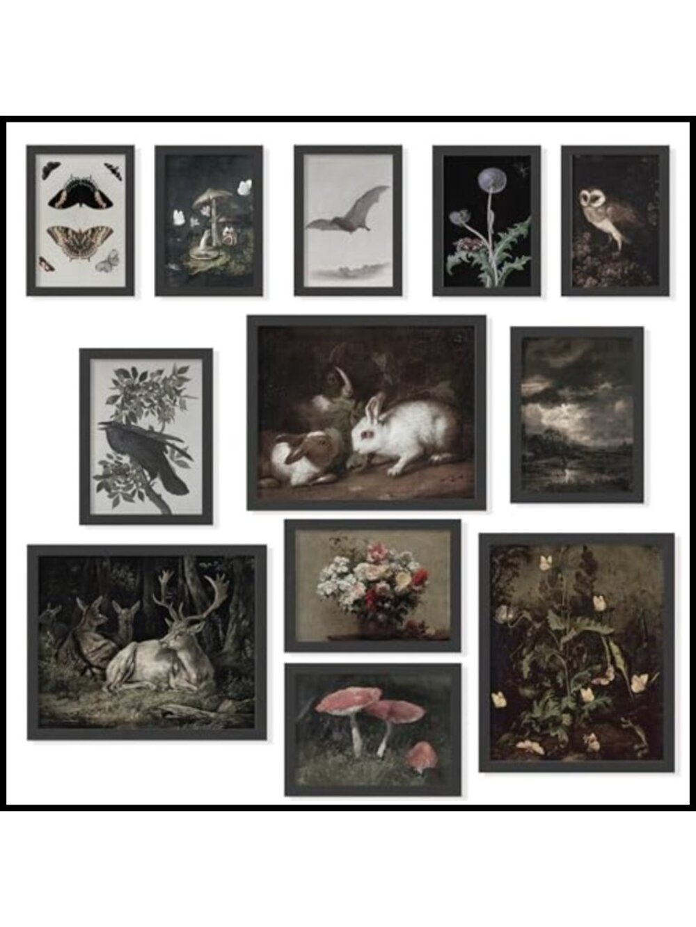 Dark Cottagecore Wall Art Poster Set Gothic Whimsical Decor Unframed 12 Prints